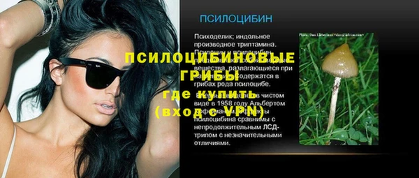 мескалин Арсеньев
