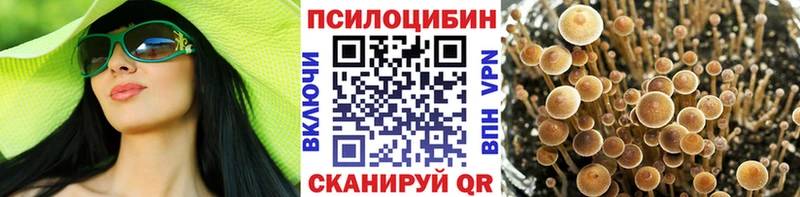 Галлюциногенные грибы MAGIC MUSHROOMS  купить  цена  Сысерть 